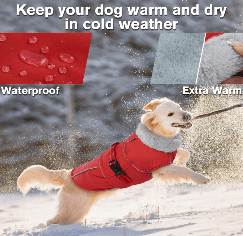 Dog Coat - NFFC Red Dog by Nottingham Reds