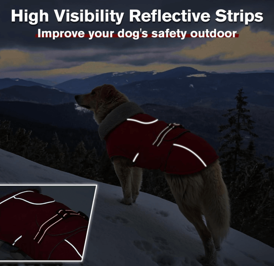 Dog Coat - NFFC Red Dog by Nottingham Reds