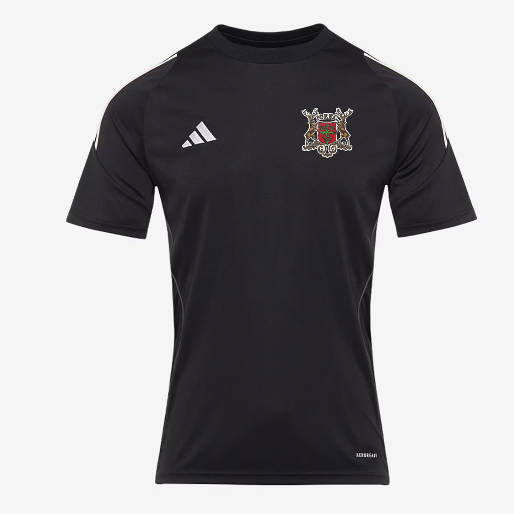 Men's Adidas Alternative Shirt 24-25 season