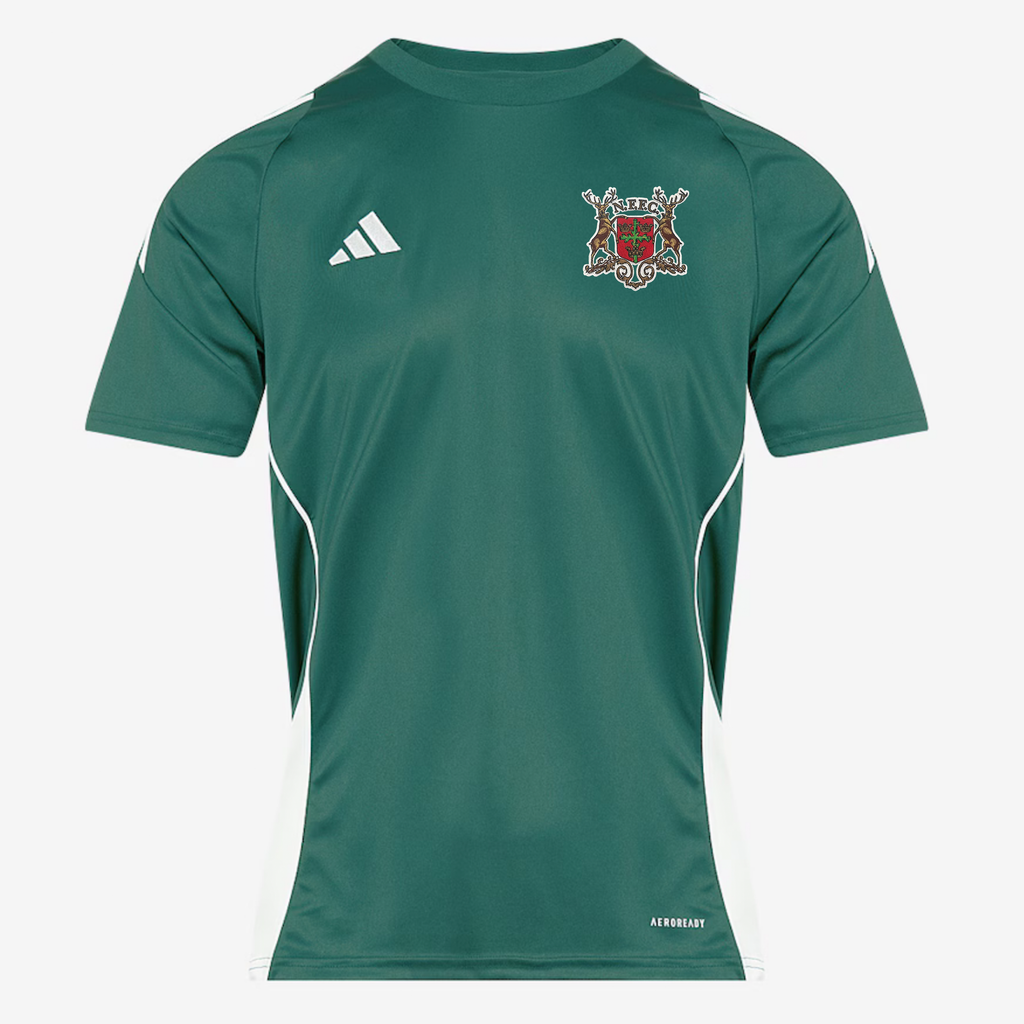 Men's Adidas Alternative Shirt 24-25 season
