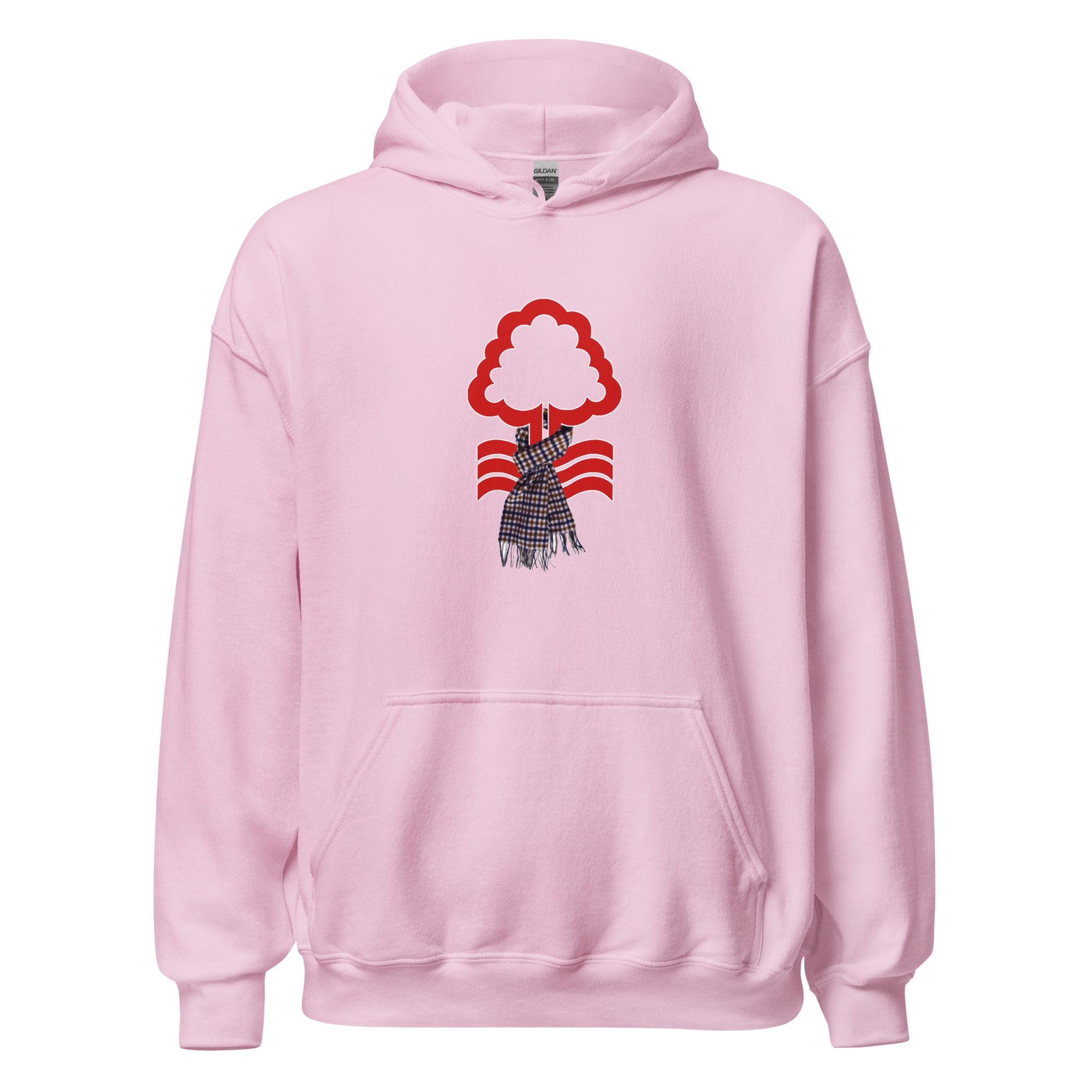 Unisex Hoodie - Aqua by Nottingham Reds